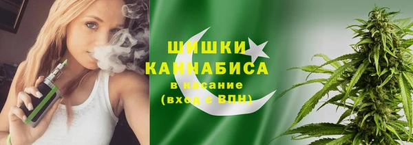 ГАЛЛЮЦИНОГЕННЫЕ ГРИБЫ Баксан