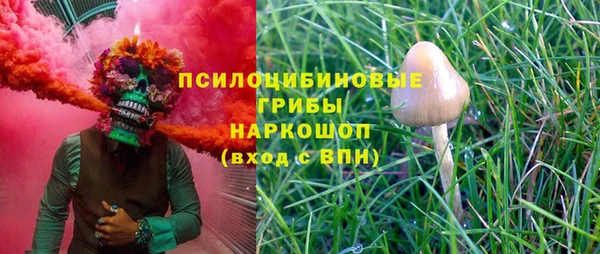 мескалин Арсеньев